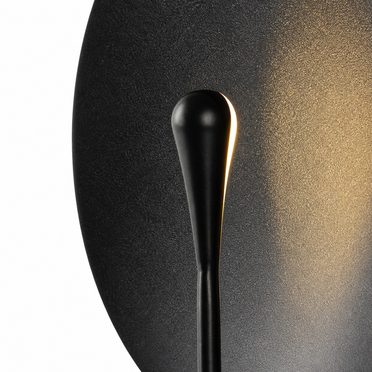 Warm light tracing the sculptural front stem