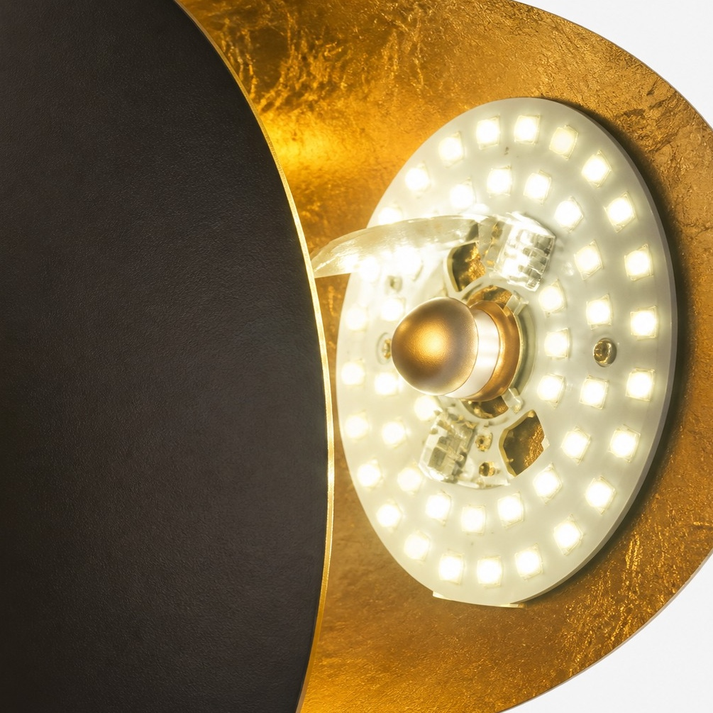 Close-up of the LED module behind the adjustable front disc
