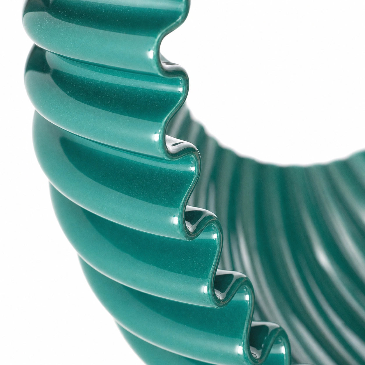 Scalloped edge of the fluted flower shell
