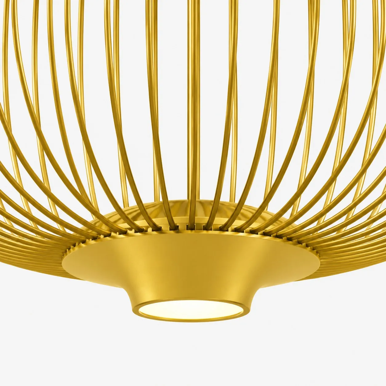 Gold wire cage interior and light
